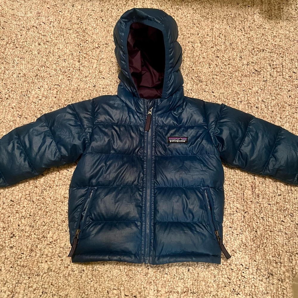 Patagonia Hooded Jacket Size 12-18 months